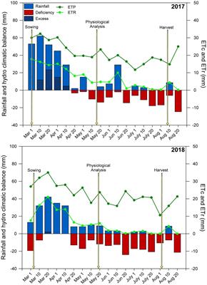 Long-Term Lime and Phosphogypsum Amended-Soils Alleviates the Field Drought Effects on Carbon and Antioxidative Metabolism of Maize by Improving Soil Fertility and Root Growth